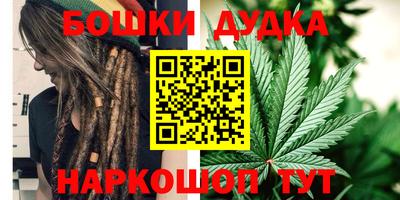 индика Жуковский
