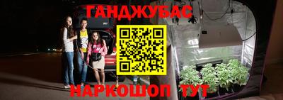 индика Жуковский