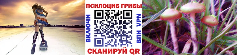 где купить наркоту  Саяногорск  Псилоцибиновые грибы прущие грибы 